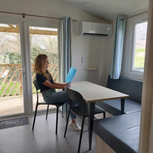Location - Mobil-Home - image n°2 - CAMPING ILE AUX CYGNES