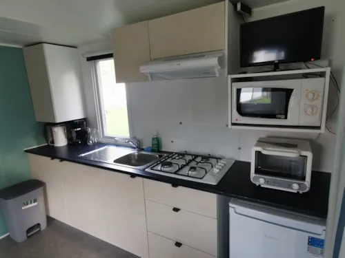 Location - Mobil-Home - image n°4 - CAMPING ILE AUX CYGNES