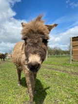 Foto #58 van Camping L’Ambois