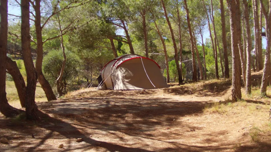 Camping Le Bois de Pins