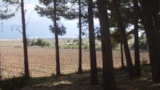 Foto #8 van Camping Le Bois de Pins