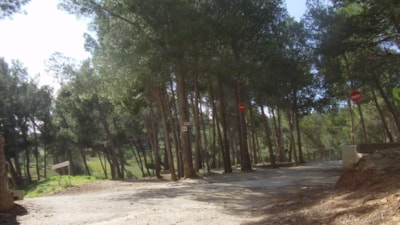 Camping Le Bois de Pins