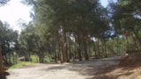 Foto #9 van Camping Le Bois de Pins