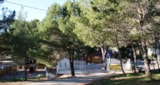 Foto #5 van Camping Le Bois de Pins