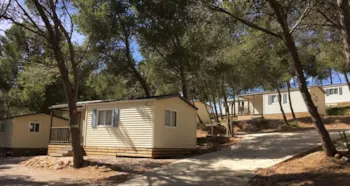 Camping Le Bois de Pins - image n°2 - Camping Direct