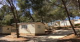 Foto #2 van Camping Le Bois de Pins
