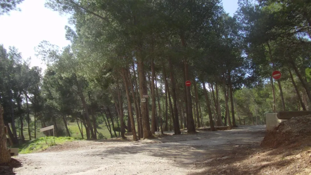 Stellplatz - Stellplatz (Wohnwagen, Wohnmobil / 1 Auto) - Camping Le Bois de Pins