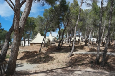 Tipi (furnished tent) - — 2