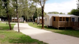 Camping Le Martin Pêcheur - image n°2 - Roulottes