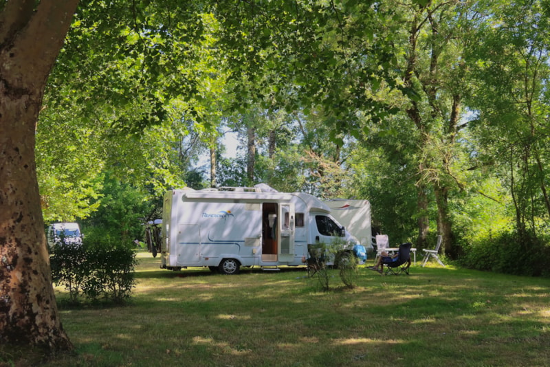 Piazzola comfort da 120 a 190m² con elettricità - 2 persone - 1 veicolo / Tenda / Caravan / Camper