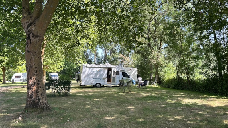 XL-Privileg-Stellplatz 120 bis 190 m² mit Stromanschluss – 2 Personen – 1 Fahrzeug / Wohnwagen / Wohnmobil