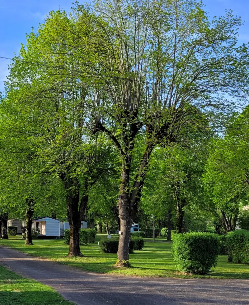 Emplacement (Véhicule + Tente Ou Véhicule + Caravane Ou Camping-Car)
