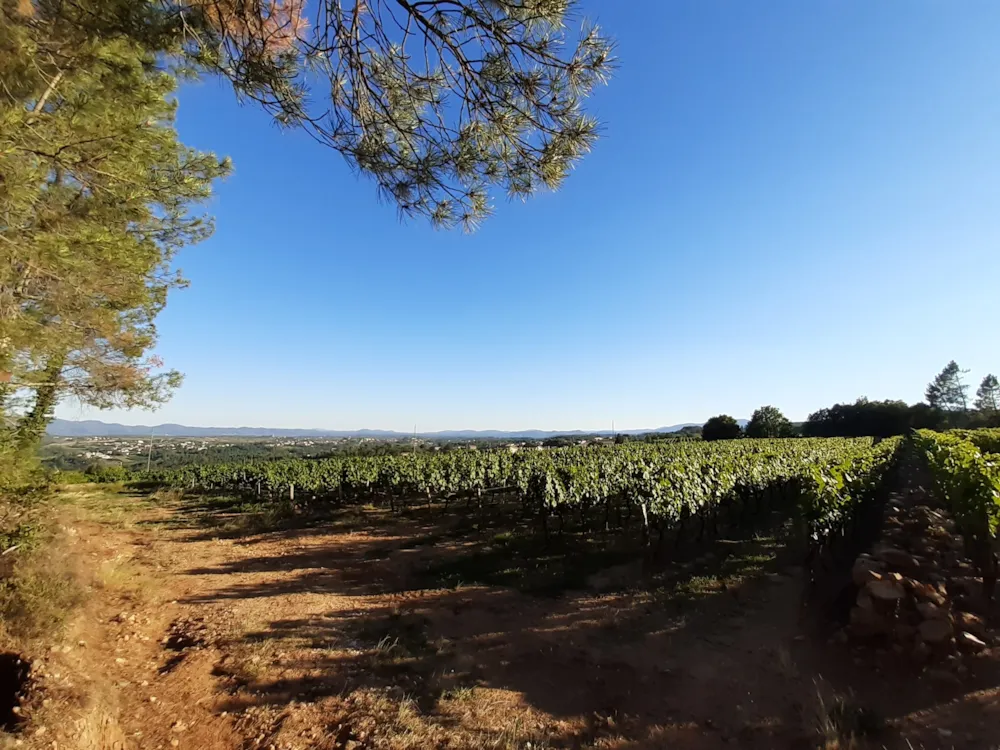 Camping du Vignal - image n°9 - Ardeche