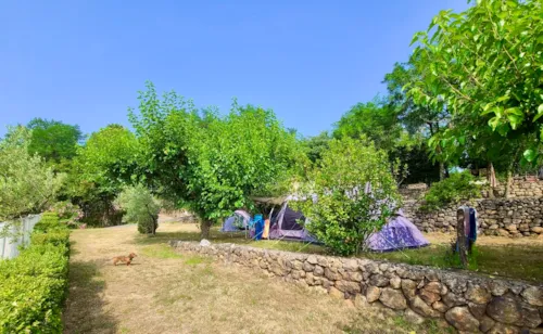 Kampeerplaats(en) - Kampeerplaats - image n°5 - Camping du Vignal