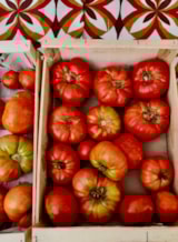 Foto #21 van Camping du Vignal