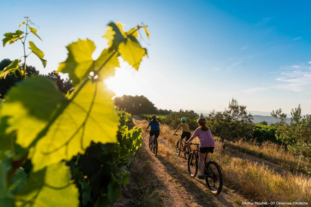 Camping du Vignal - image n°34 - Ardeche