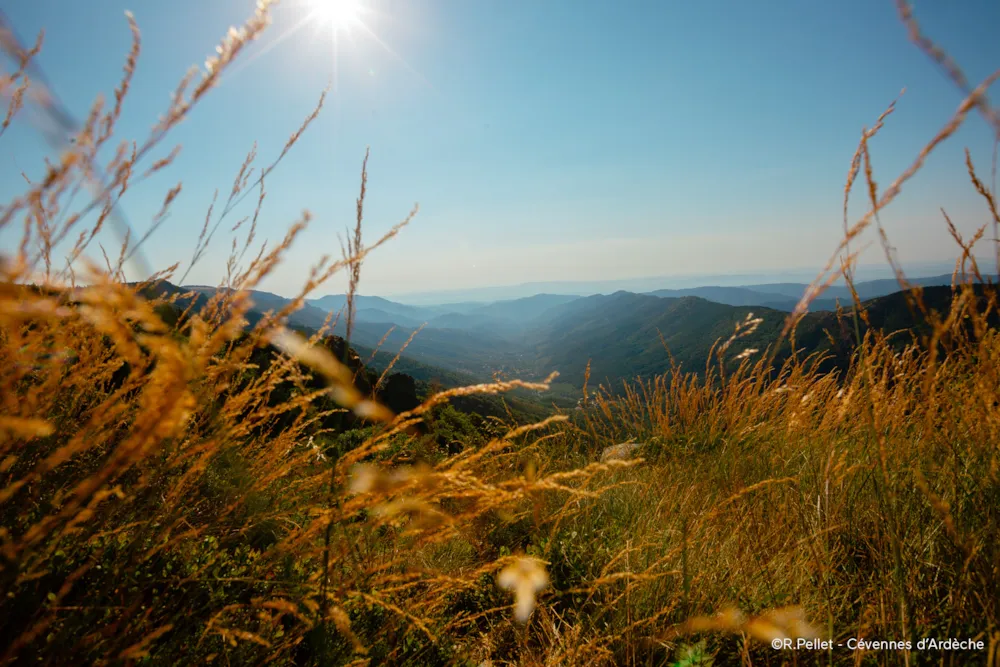Camping du Vignal - image n°48 - Ardeche