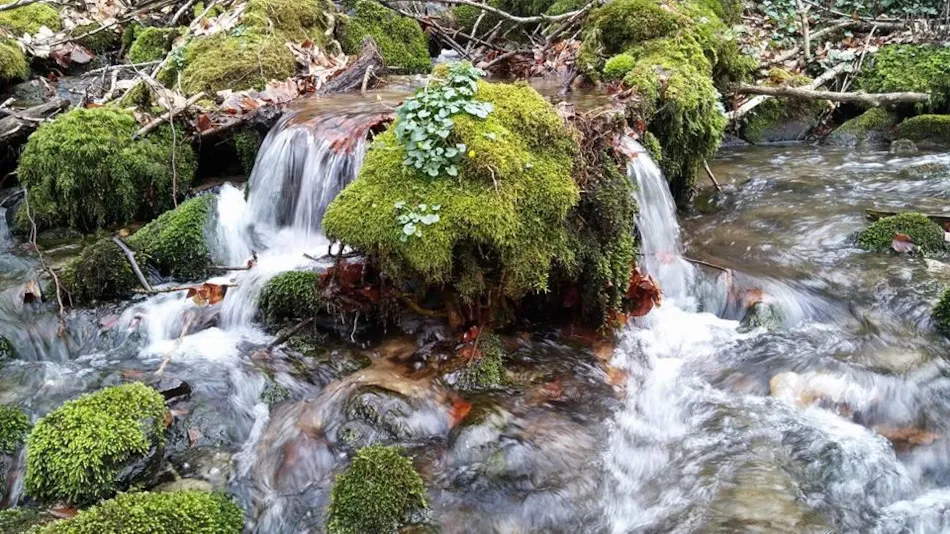 Aire naturelle de Camping La Ferme aux Cerisiers