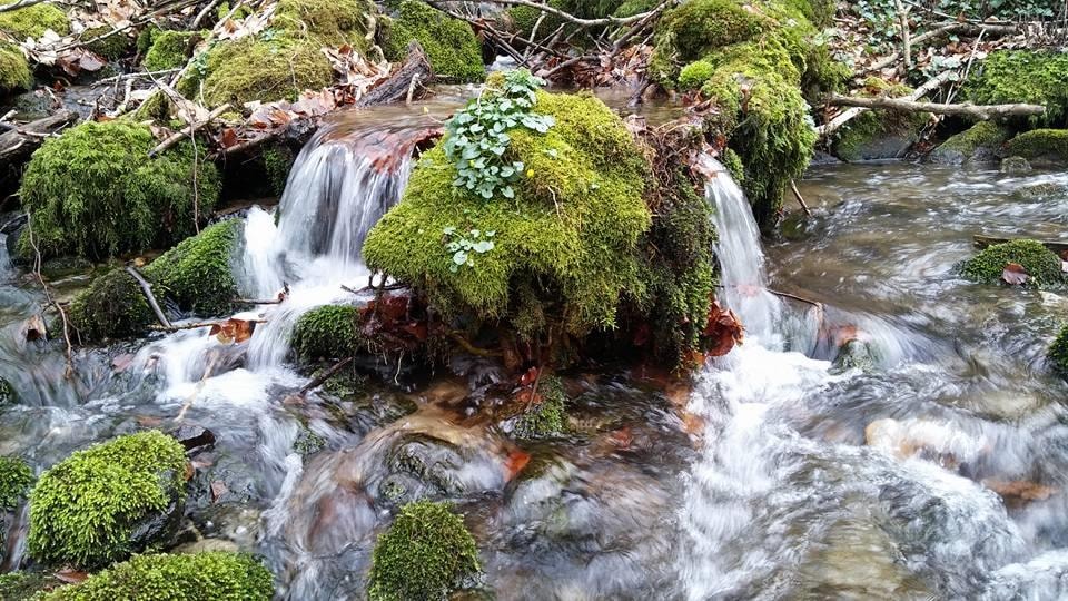 Aire naturelle de Camping La Ferme aux Cerisiers — Foto 4