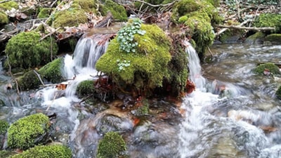 Aire naturelle de Camping La Ferme aux Cerisiers