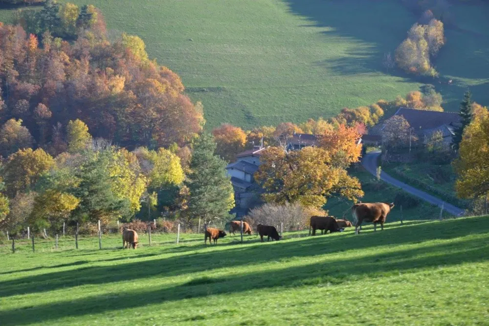 Aire naturelle de Camping La Ferme aux Cerisiers - image n°5 - RhoneAlpes