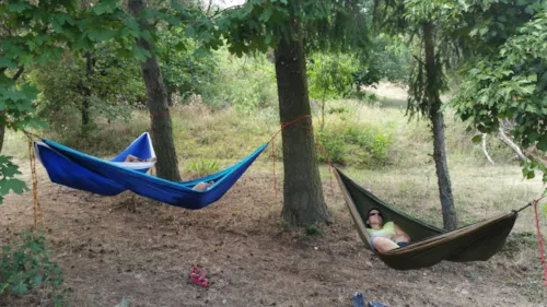 Emplacement - Emplacement Tente, Caravane, Camping-Car, Van Nature Belle Vue, Ombre, Avec Douches Chaudes - image n°2 - Aire naturelle de Camping La Ferme aux Cerisiers