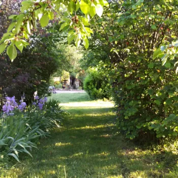 Kampeerplaats(en) - Nature Slot 1 , Mooi Uitzicht , Schaduw , 50M Sanitair Met Warme Douches, Toiletten , Afwas Lade , Geen Directe Buren , Rustig En Kalm. - Aire naturelle de Camping La Ferme aux Cerisiers