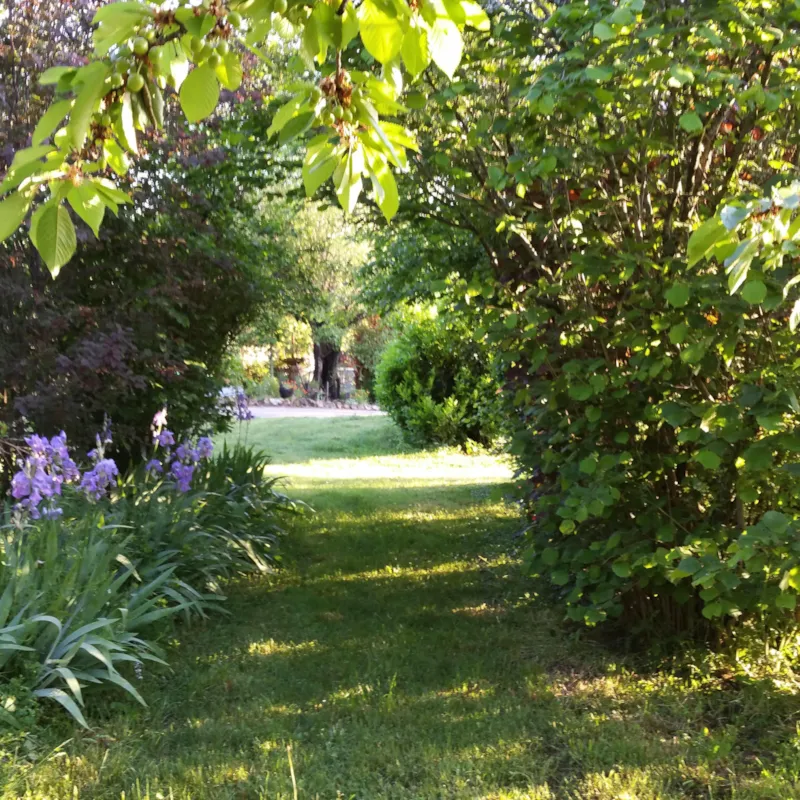 Emplacement Nu Pour Tente Ou Caravane Nature Belle Vue, Ombre, 50M Des Sanitaires Avec Douches Chaudes, Toilettes, Bac À Vaisselle, Pas De Voisin Proche, Calme Et Tranquille.