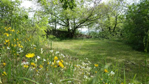 Emplacement - Emplacement Tente, Caravane, Camping-Car, Van Nature Belle Vue, Ombre, Avec Douches Chaudes - image n°4 - Aire naturelle de Camping La Ferme aux Cerisiers