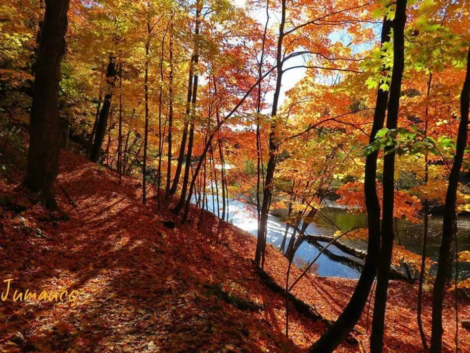 Aire naturelle de Camping La Ferme aux Cerisiers