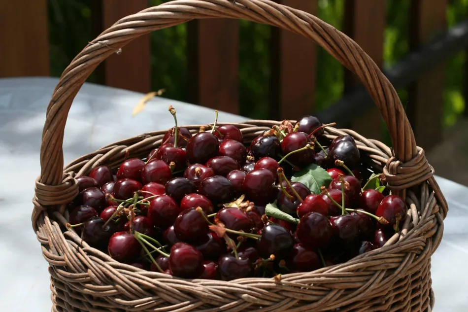 Aire naturelle de Camping La Ferme aux Cerisiers