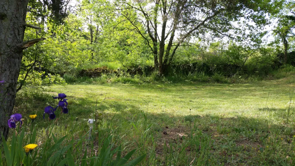 Aire naturelle de Camping La Ferme aux Cerisiers - image n°10 - RhoneAlpes