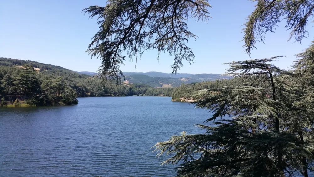 Aire naturelle de Camping La Ferme aux Cerisiers - image n°16 - RhoneAlpes