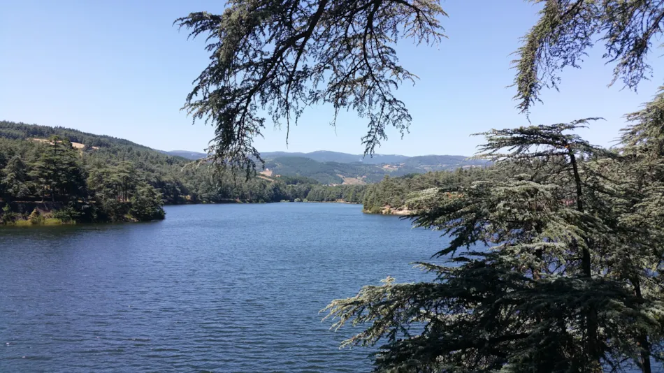 Aire naturelle de Camping La Ferme aux Cerisiers