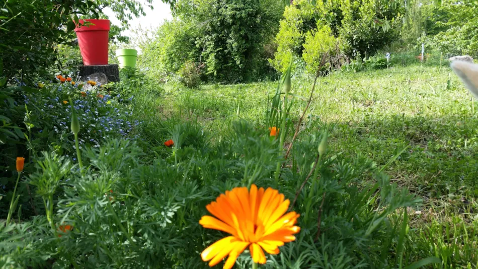 Aire naturelle de Camping La Ferme aux Cerisiers