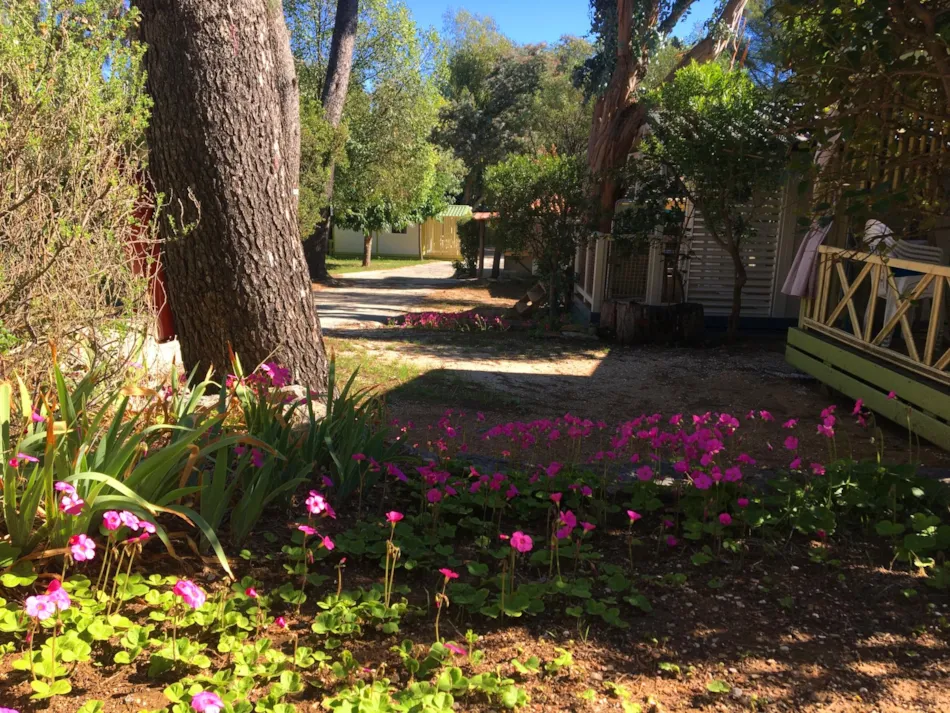 Camping  L'Hermitage