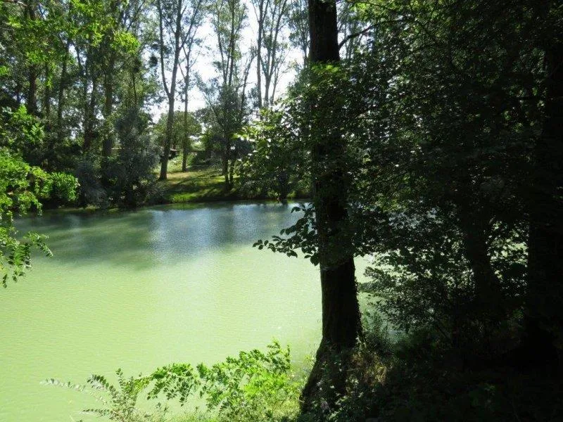 Camping La Bastide - image n°33 - UniversalBooking