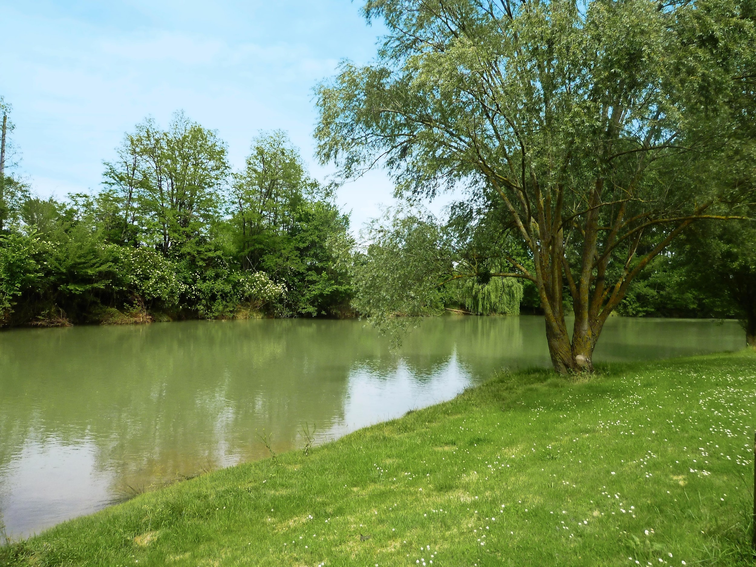 Camping La Bastide — Photo 7