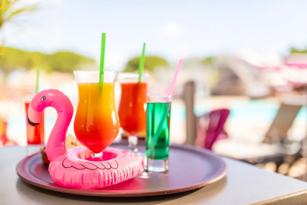 Camping Les Flamants Roses - image n°9 - UniversalBooking