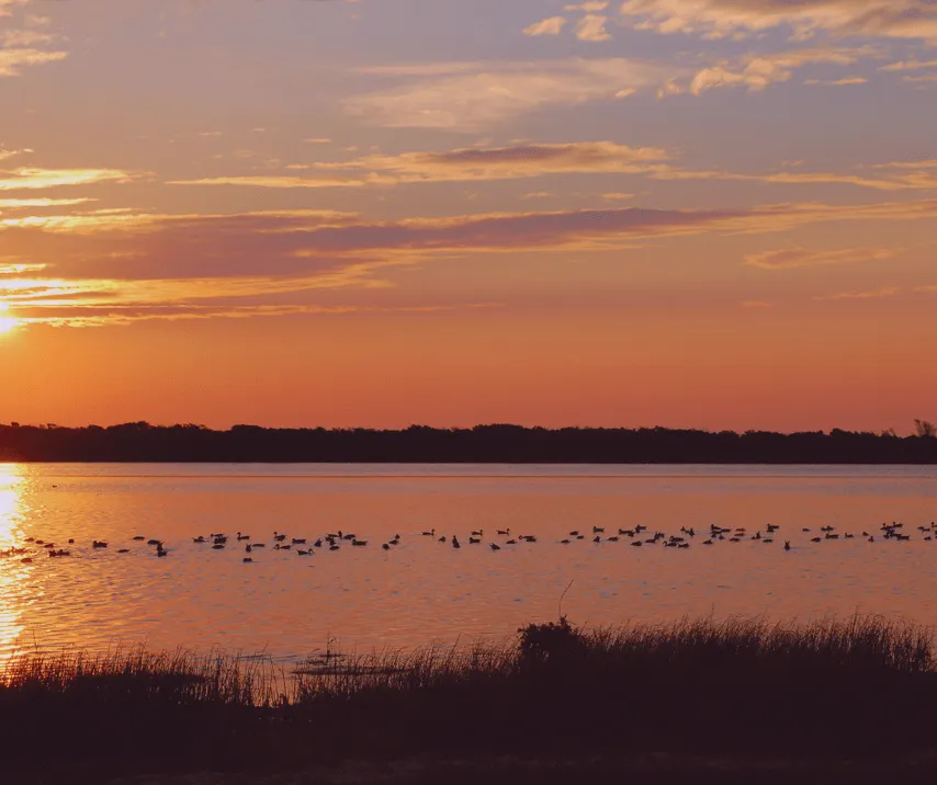 Camping Les Flamants Roses - image n°80 - UniversalBooking