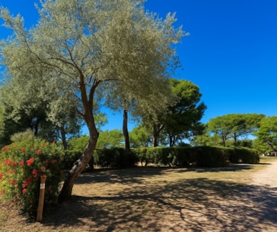 Pitch XL - 100m² - Motorhome/large tent/large caravan + electricity