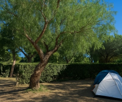 Pitch XL - 100m² - Motorhome/large tent/large caravan + electricity