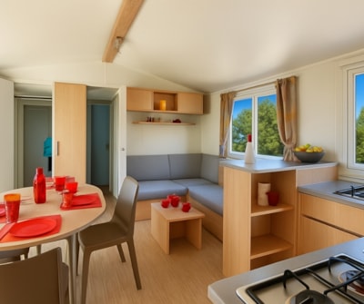 Mobile home Cottage 3 - 33m² - 3 bedrooms,  air conditioning and television
