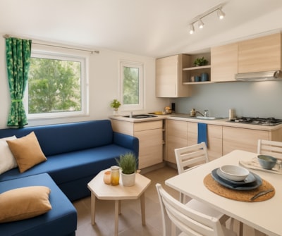 Mobile home Cottage 3 VIP - 33m² - 3 bedrooms,  air conditioning and luxury facilities