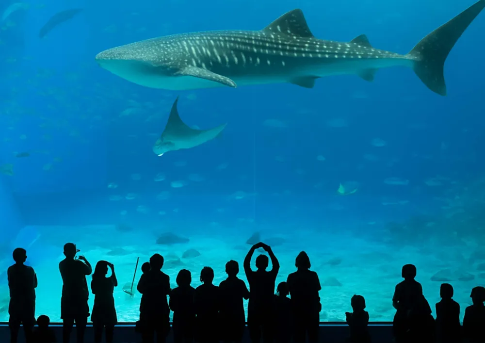 Camping Les Flamants Roses - image n°82 - UniversalBooking