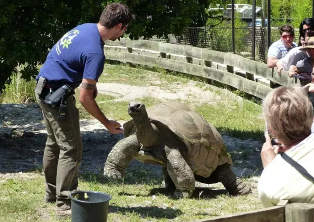 Camping Les Flamants Roses - image n°86 - UniversalBooking