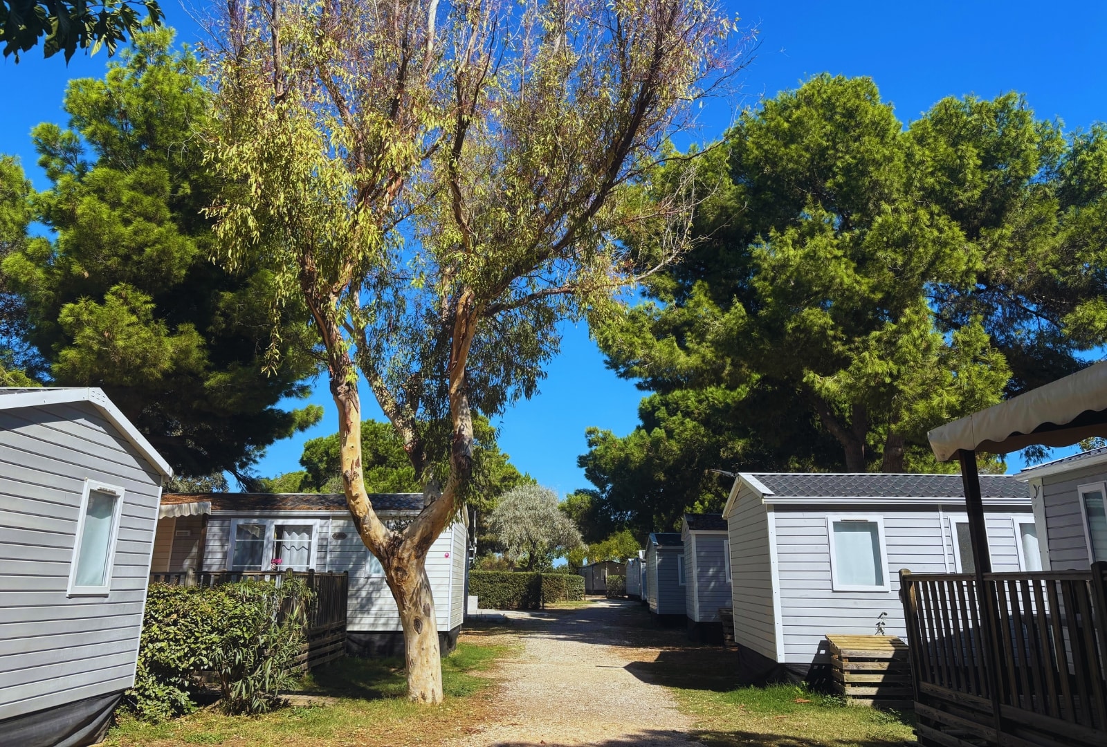 Camping Les Flamants Roses — Photo 4