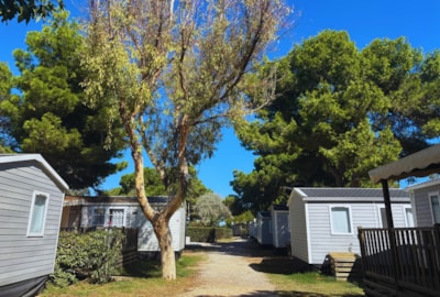 Camping Les Flamants Roses