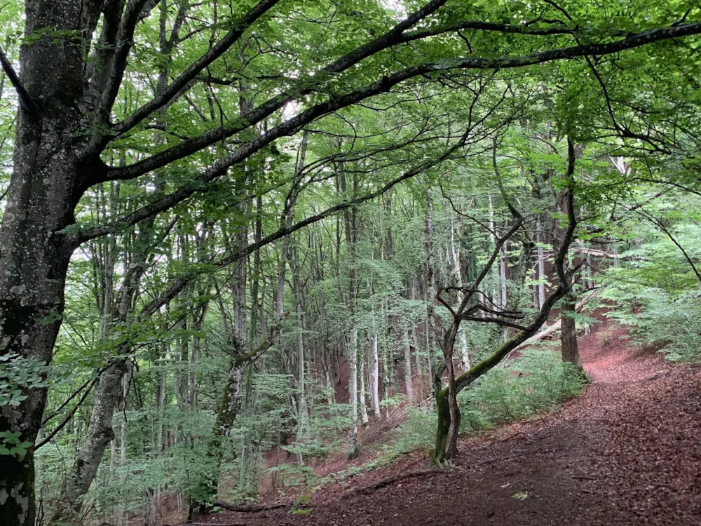 Camping Gîte Au Songe du Valier