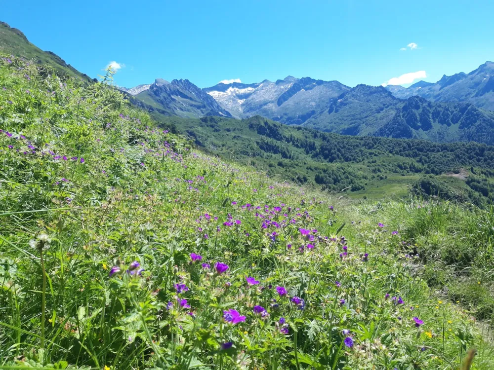 Camping Gîte Au Songe du Valier